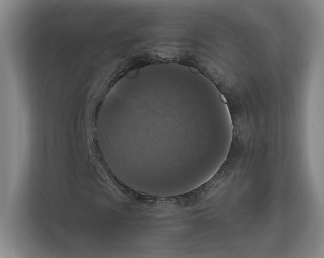 X0000111811009200908201106