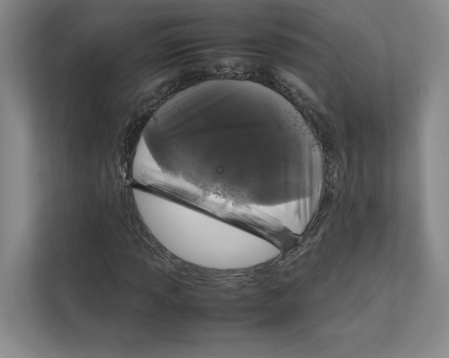 X0000111811013200908201106