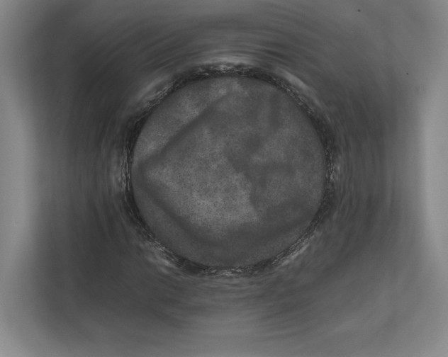 X0000111811014200908201106