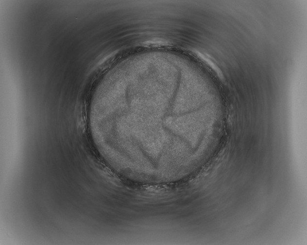 X0000111811015200908201106