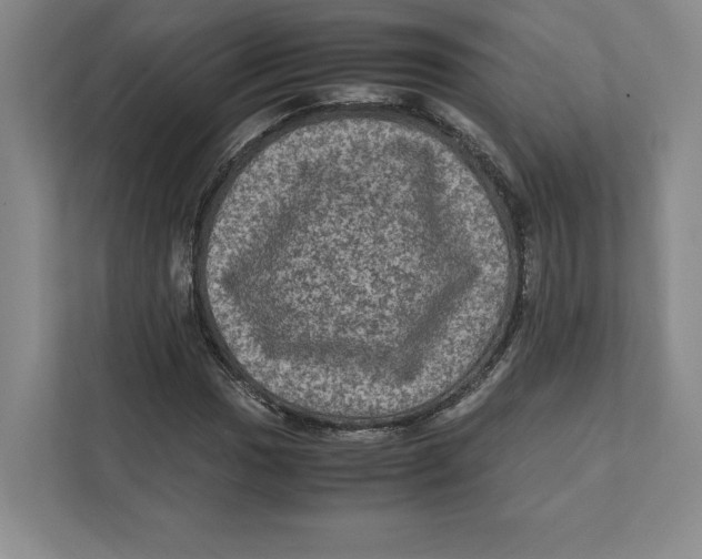 X0000111811017200908201106