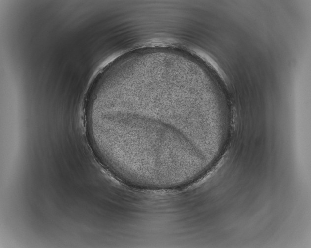X0000111811018200908201106