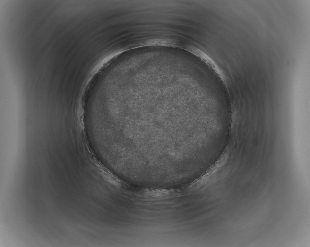 X0000111811019200908201106