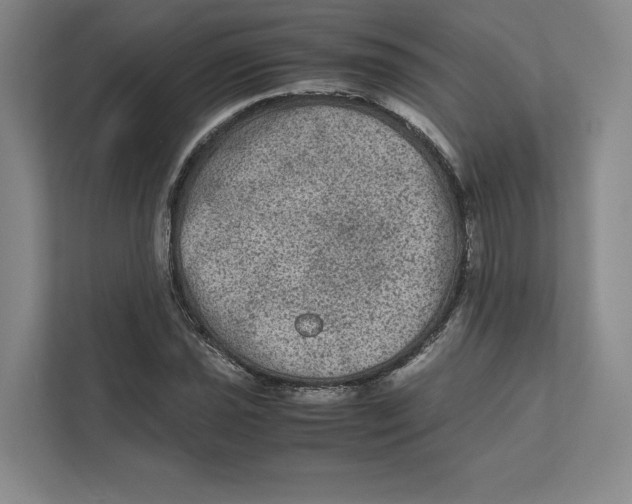 X0000111811021200908201106