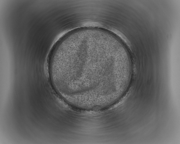 X0000111811022200908201106