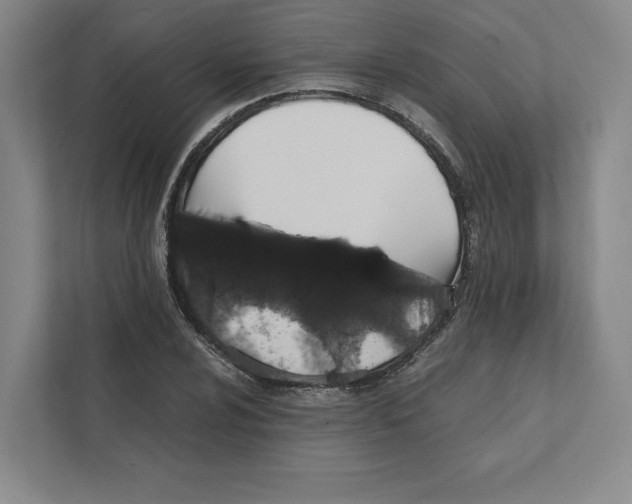 X0000111811024200908201106