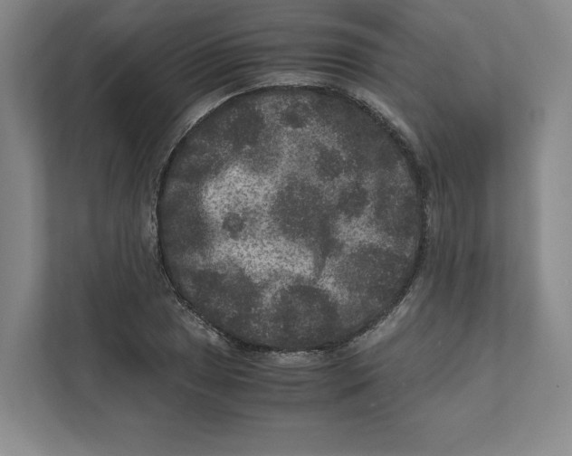 X0000111811025200908201106