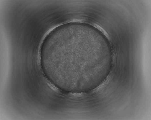 X0000111811027200908201106