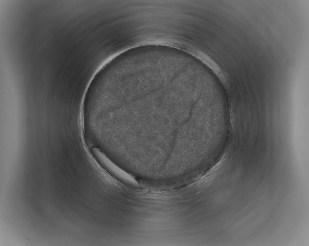 X0000111811028200908201106