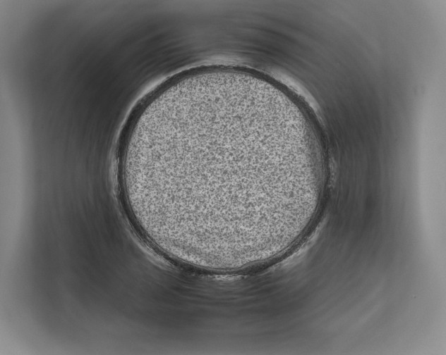 X0000111811029200908201106