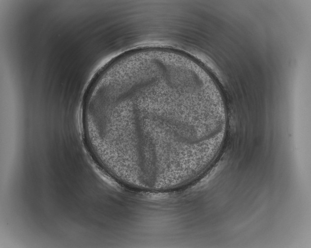 X0000111811030200908201106