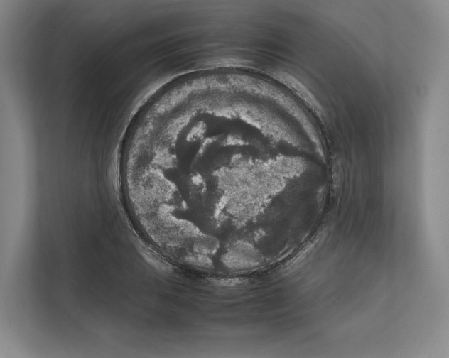 X0000111811031200908201106