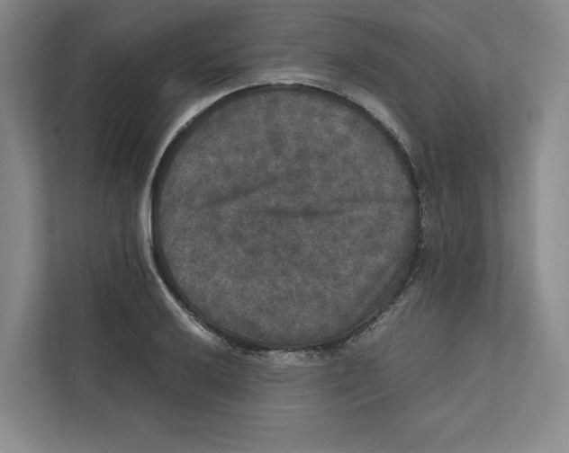 X0000111811032200908201106