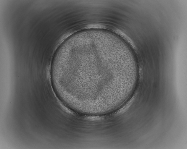 X0000111811033200908201106