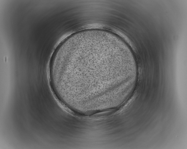 X0000111811034200908201106