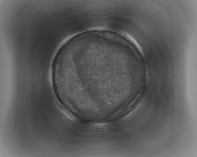 X0000111811035200908201106
