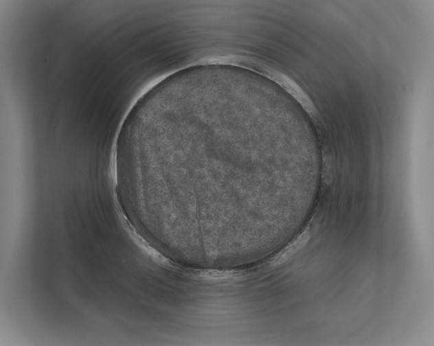 X0000111811036200908201106