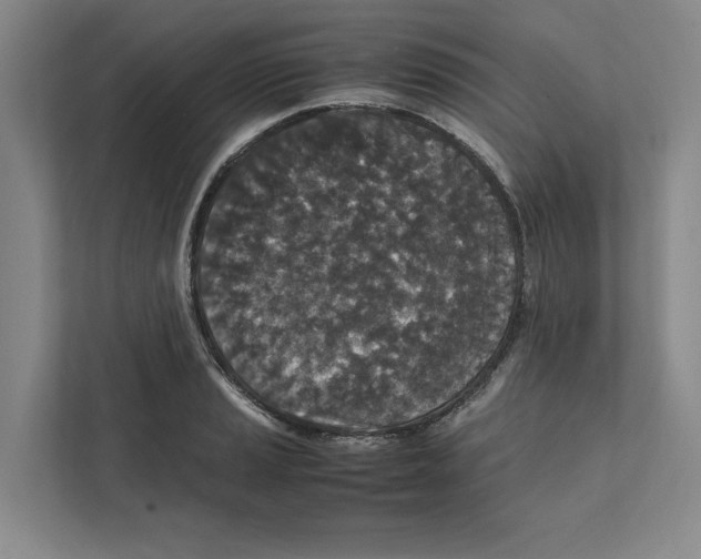 X0000111811037200908201106