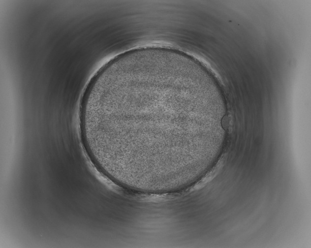 X0000111811038200908201106