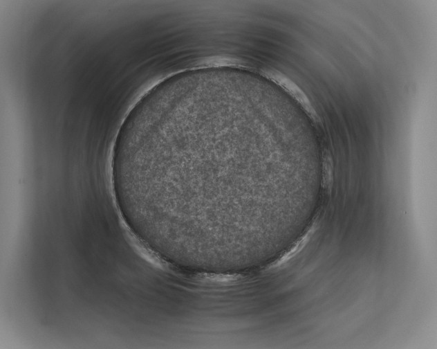 X0000111811039200908201106