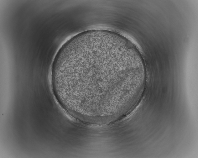 X0000111811040200908201106