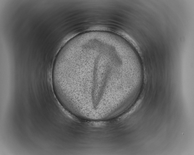 X0000111811041200908201106