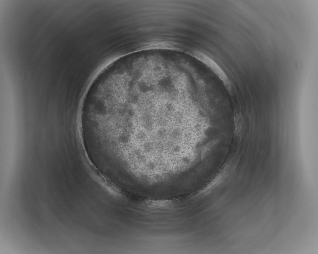 X0000111811043200908201106