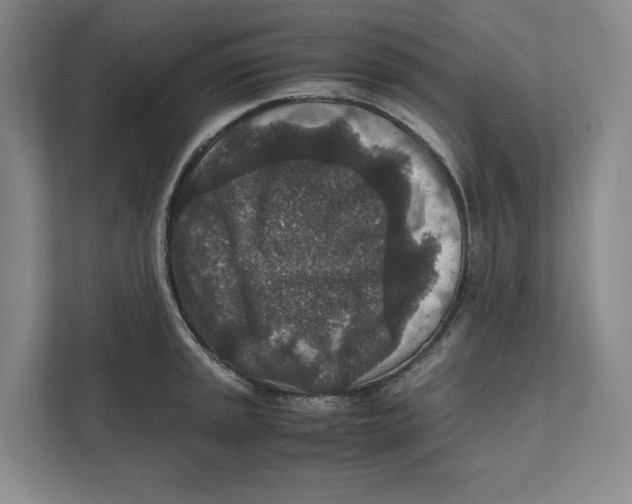 X0000111811045200908201106