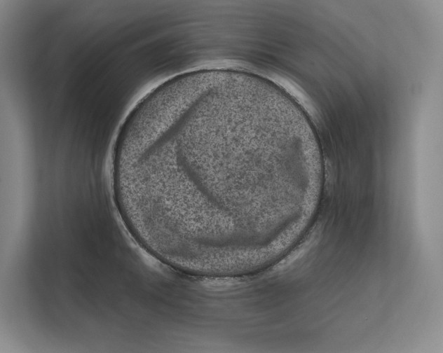 X0000111811046200908201106
