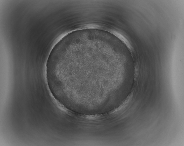 X0000111811047200908201106