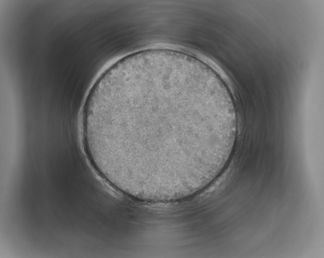 X0000111811048200908201106