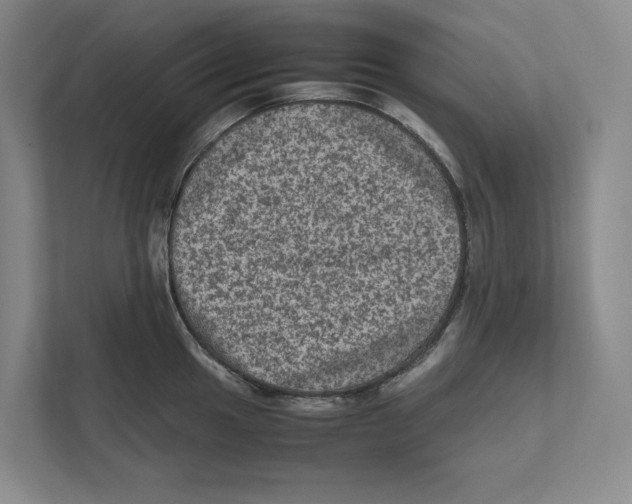 X0000111811049200908201106