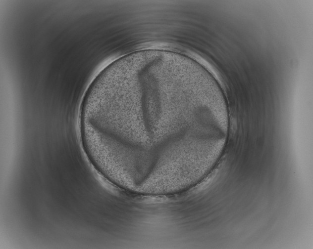 X0000111811050200908201106