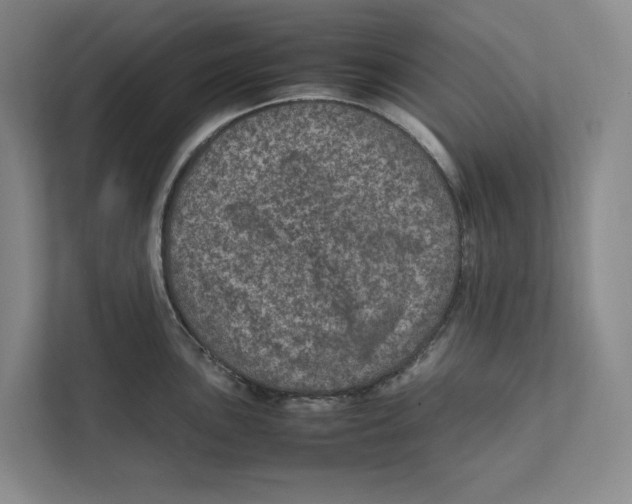 X0000111811051200908201106
