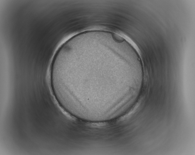 X0000111811053200908201106