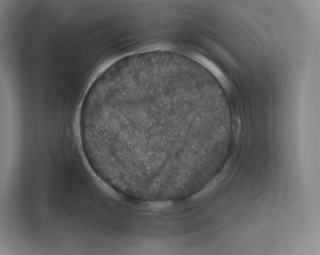 X0000111811055200908201106