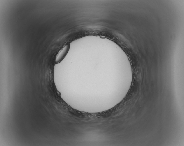 X0000111811061200908201106