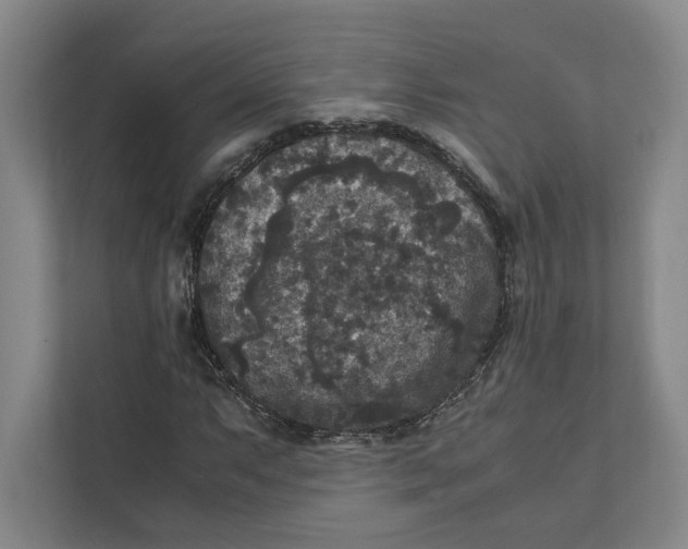 X0000111811063200908201106