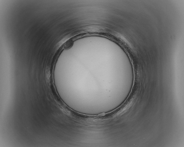 X0000111811065200908201106