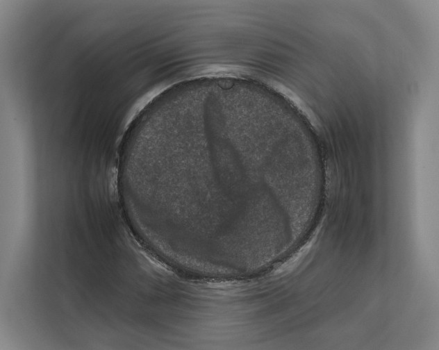 X0000111811066200908201106