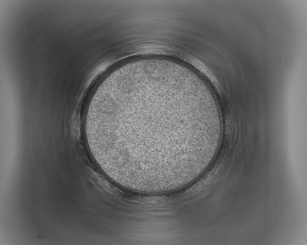 X0000111811067200908201106
