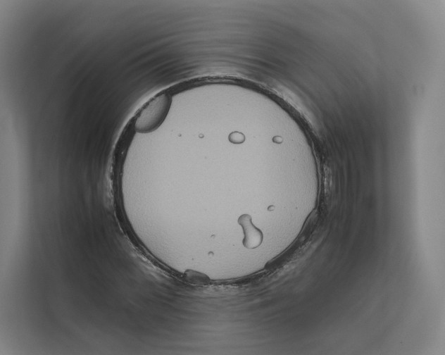 X0000111811068200908201106