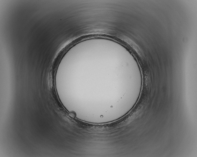 X0000111811069200908201106