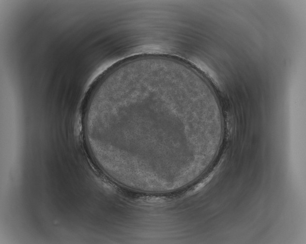 X0000111811070200908201106