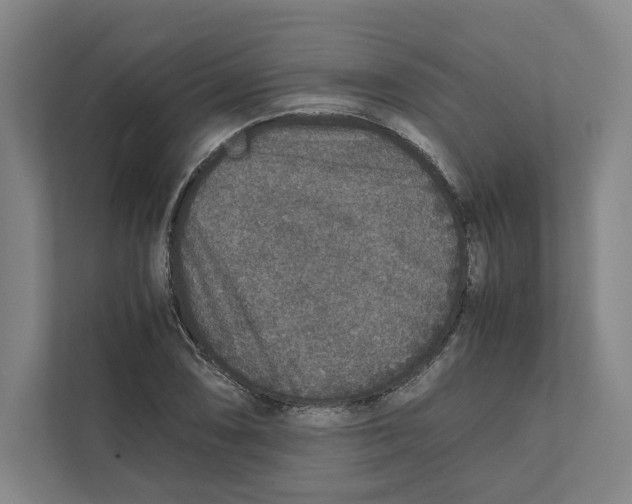 X0000111811074200908201105