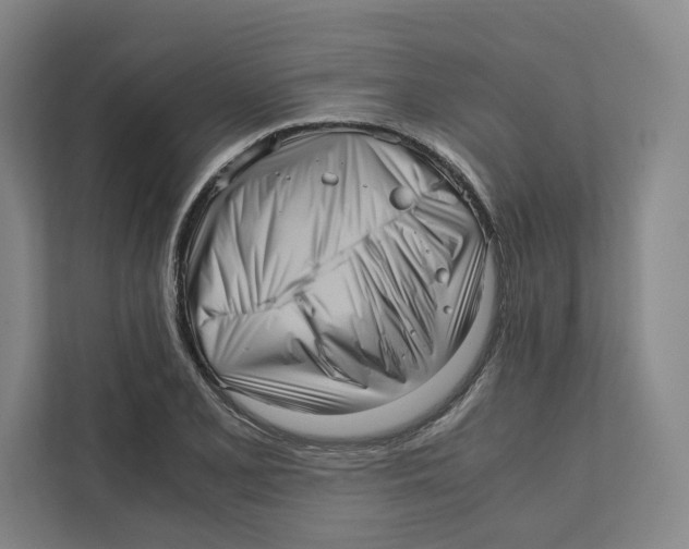 X0000111811077200908201105