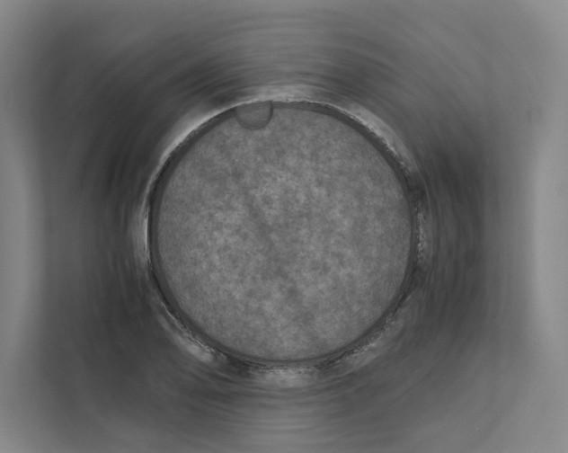 X0000111811078200908201105