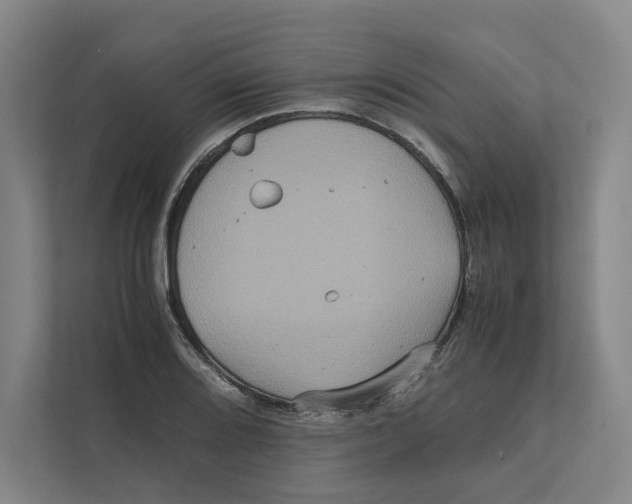 X0000111811080200908201105