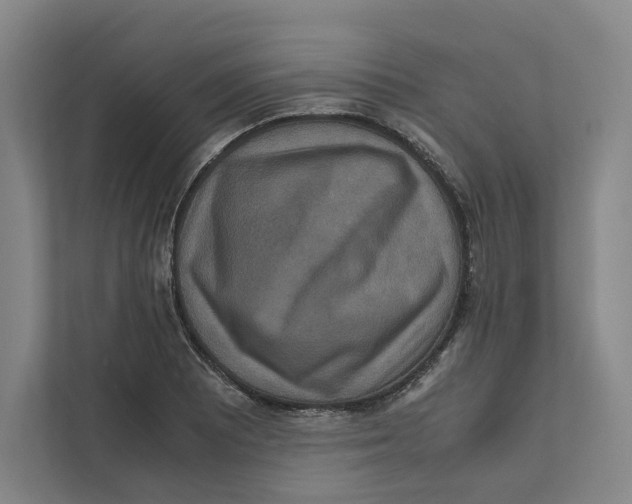 X0000111811081200908201105