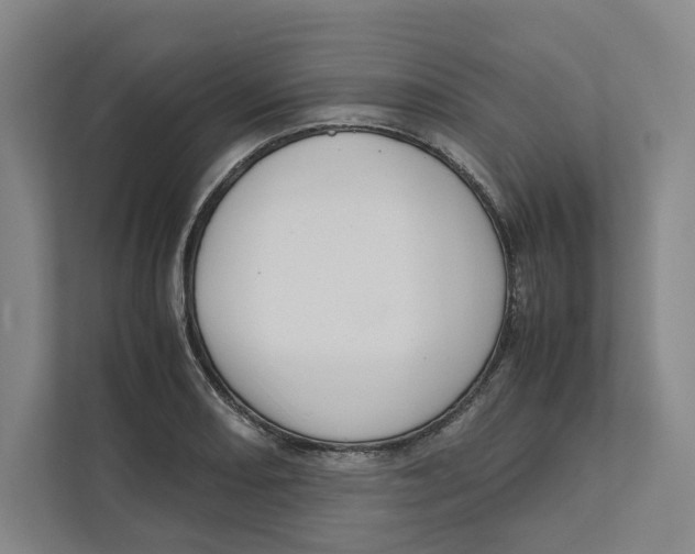 X0000111811082200908201105